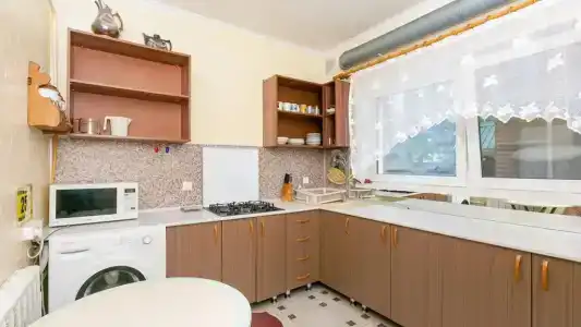 Лиза - 2