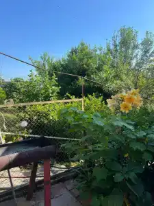 Гостевой дом у Эсмы - 15