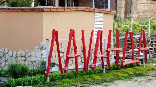 Лаванда Азов - 7