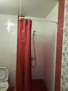 Виола - 18