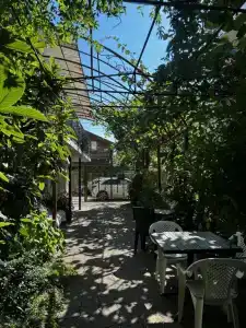 Соль и воздух - 1