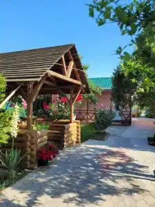 Меркурий - 1