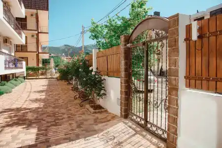 Платан - 4