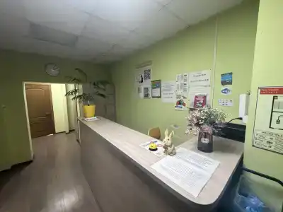 Альбатрос - 0