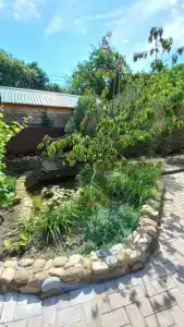 Акватория - 14