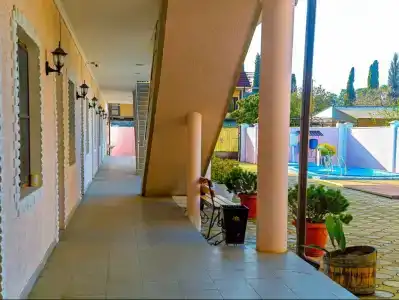 Платан - 3
