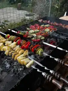 Индира - 4