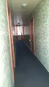 Золотая рыбка - 19