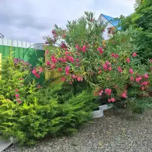 Семейный дворик - 3