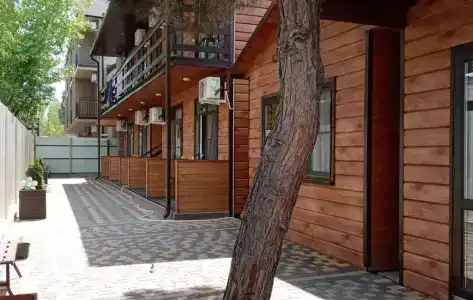 Флора - 1