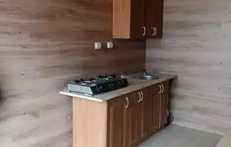 Флора - 4