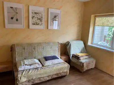 Дельфиниум - 35