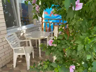 Дельфиниум - 45