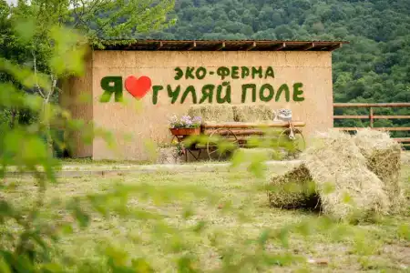 Эко ферма Гуляй Поле - 0