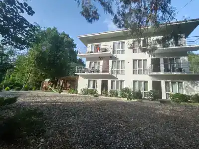 Monte - 26
