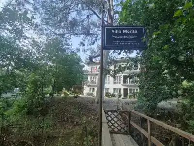 Monte - 35