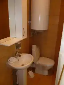 Дельфиниум - 48