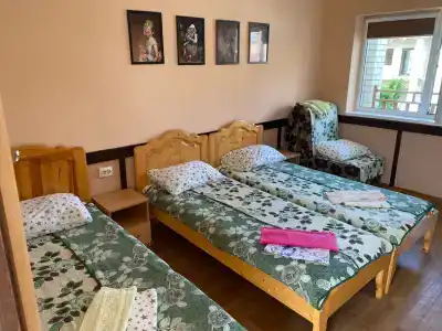 Дельфиниум - 50