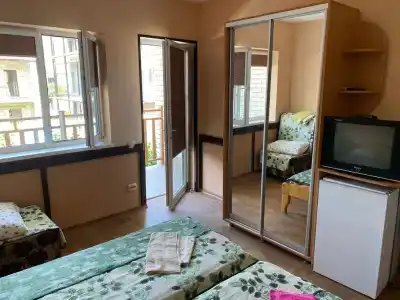 Дельфиниум - 53