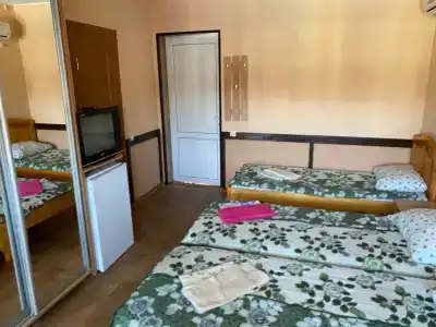 Дельфиниум - 54