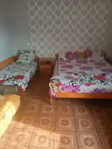 Кит - 12