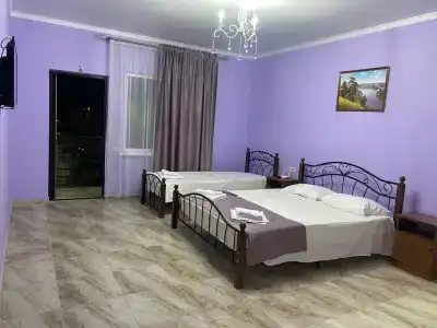 Гортензия - 6