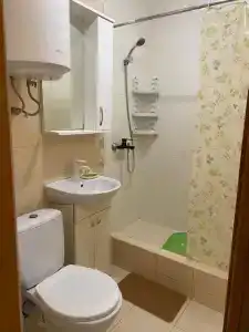 Дельфиниум - 63