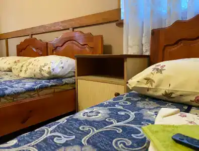 Дельфиниум - 61