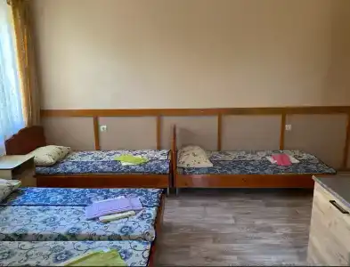 Дельфиниум - 64