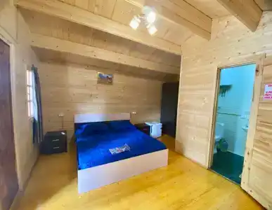 Александрия - 43