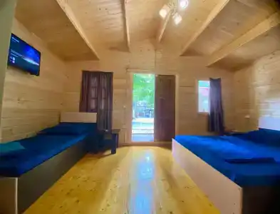 Александрия - 45