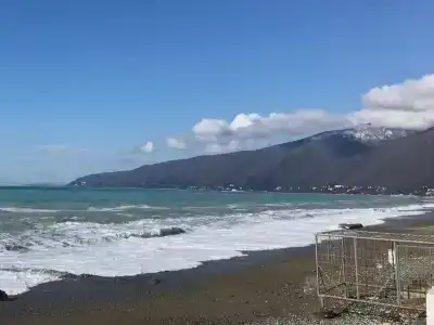 Александрия - 66