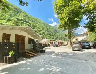 Александрия - 67