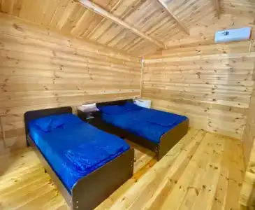 Александрия - 71