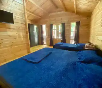 Александрия - 72