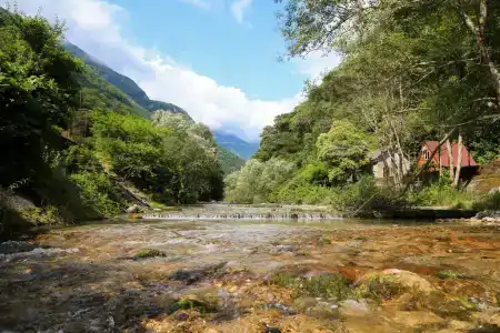 Александрия - 39