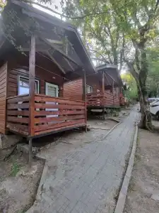 Волна - 5