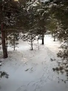 Ивашнёво - 9