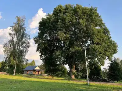 Ивашнёво - 8