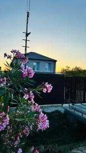 Carolina Residence - 23