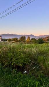 Carolina Residence - 53