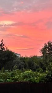 Carolina Residence - 57