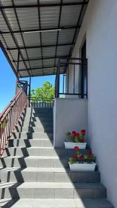 Carolina Residence - 65