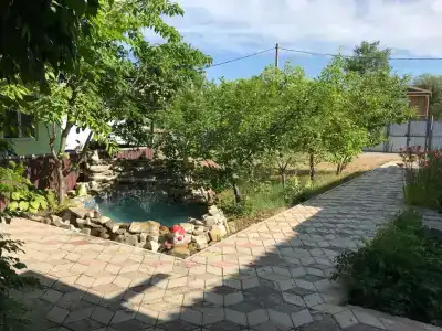 Александрийский дворик - 2