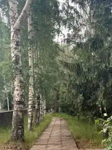 Эдем - 92