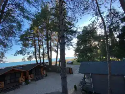 Сосновый двор - 1