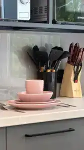 Родина - 1