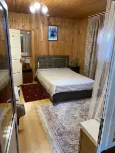 Старый Клен - 29