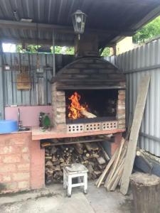 Дельфин - 15