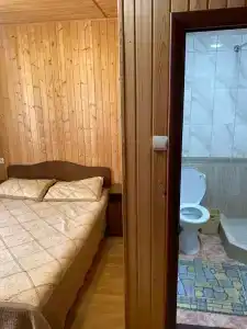 Старый Клен - 43